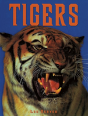 Tigers - Preview