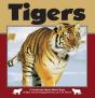 Tigers - Preview