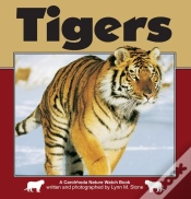 Capa do artigo Tigers
