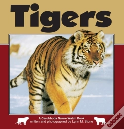 Capa do artigo Tigers