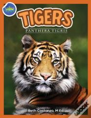 Tigers, Panthera Tigris Ages 2-4
