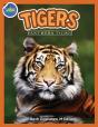 Tigers, Panthera Tigris Ages 2-4 - Preview