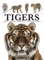 Tigers - Preview