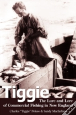 Capa do artigo Tiggie