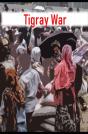 Tigray War - Preview