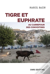 Capa do artigo Tigre Et Euphrate
