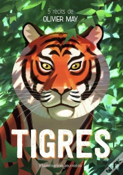Capa do artigo Tigres