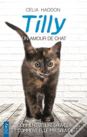 Capa do artigo Tilly, Le Chat De L