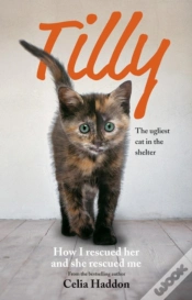 Capa do artigo Tilly: The Ugliest Cat