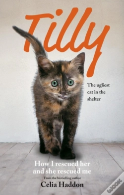 Capa do artigo Tilly: The Ugliest Cat