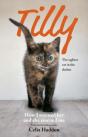 Tilly: The Ugliest Cat - Preview