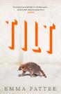 Tilt - Preview