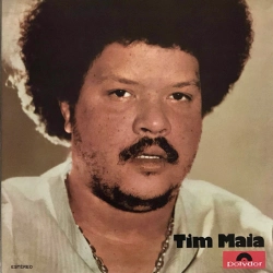 Capa do artigo Tim Maia - Vinil