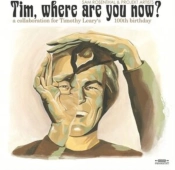 Capa do artigo Tim, Where Are You Now? - CD