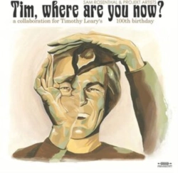 Capa do artigo Tim, Where Are You Now? - CD