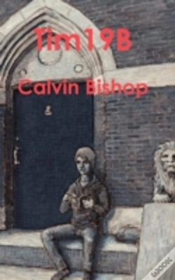 Capa do artigo Tim19b