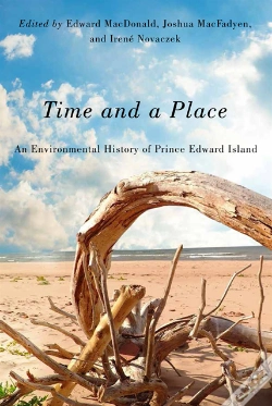 Capa do artigo Time And A Place