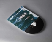 Capa do artigo Time Bend and Break the Bower - Vinil