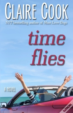 Capa do artigo Time Flies