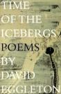 Time Of The Icebergs - Preview