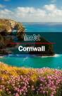 Time Out Cornwall - Preview