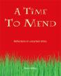 Time To Mend - Preview
