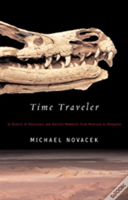Capa do artigo Time Traveler