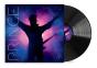 Timeless - Vinil - Preview
