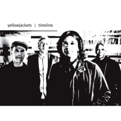 Capa do artigo Timeline - Vinil