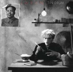Capa do artigo Tin Drum - Vinil