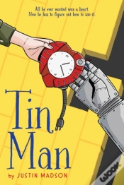 Capa do artigo Tin Man