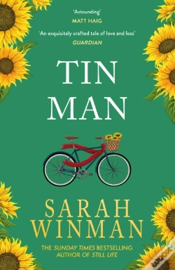 Capa do artigo Tin Man
