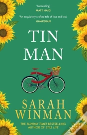 Capa do artigo Tin Man