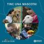 Tinc Una Mascota! - Preview