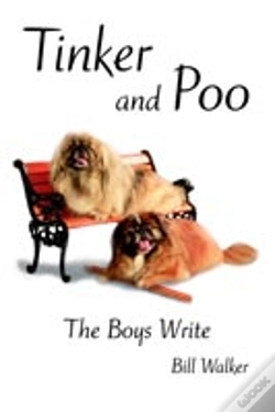 Capa do artigo Tinker And Poo