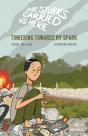 Tinkering Towards My Spark - Preview