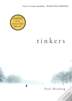 Capa do artigo Tinkers