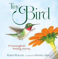 Tiny Bird