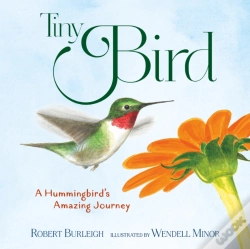Capa do artigo Tiny Bird
