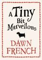 Tiny Bit Marvellous - Preview