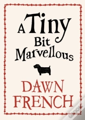 Capa do artigo Tiny Bit Marvellous