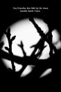 Tiny Branches That Hold Up The Moon - Preview