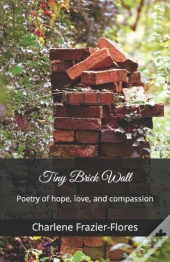 Tiny Brick Wall