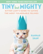 Capa do artigo Tiny But Mighty