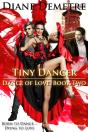 Tiny Dancer - Preview