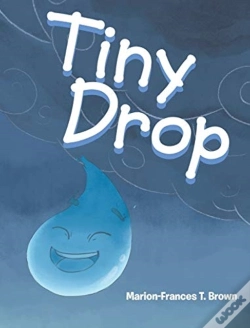 Capa do artigo Tiny Drop