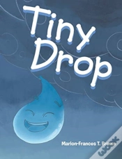 Capa do artigo Tiny Drop