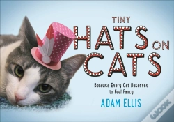 Capa do artigo Tiny Hats On Cats