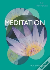 Capa do artigo Tiny Healer: Meditation