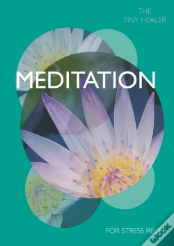 Capa do artigo Tiny Healer: Meditation
